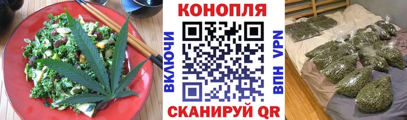 магазин продажи наркотиков  Унеча  Cannafood марихуана 