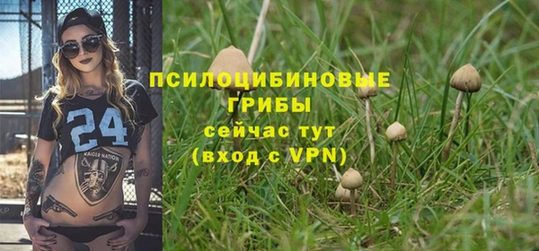 тгк Балабаново