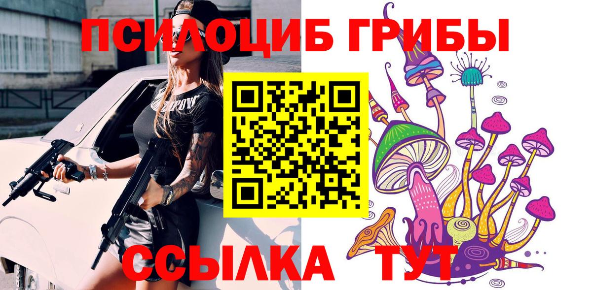 Галлюциногенные грибы Psilocybe  Вход с VPN  купить наркоту  Унеча 